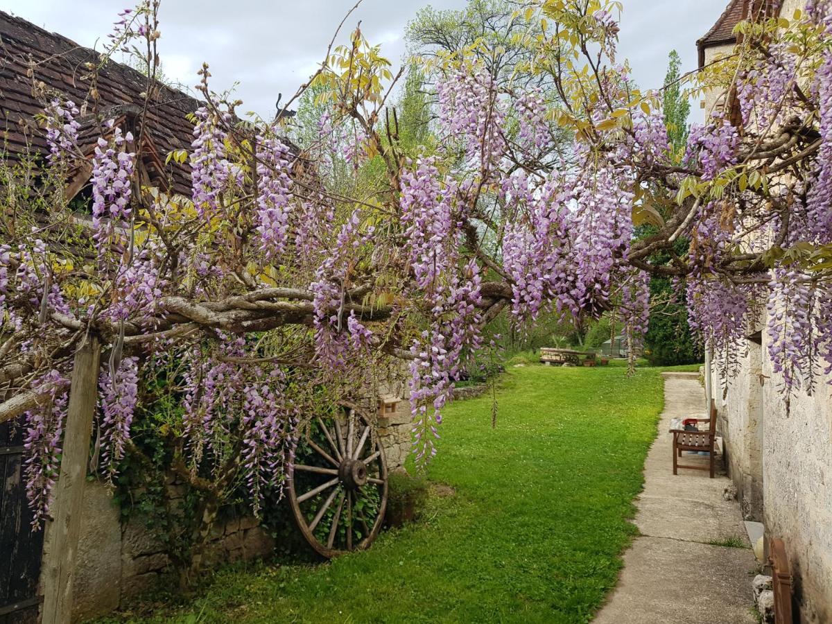 Le Moulin De Jules Et Akasha Bed & Breakfast Labastide-Murat Exterior photo